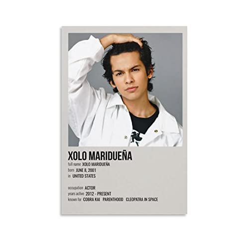 QiufengPanel Hanging Posters Vertical Xolo MaridueÃ±a Unframe Style xinch(xcm)