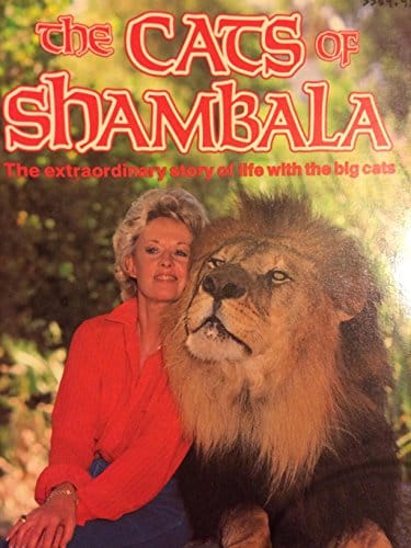 The Cats of Shambala