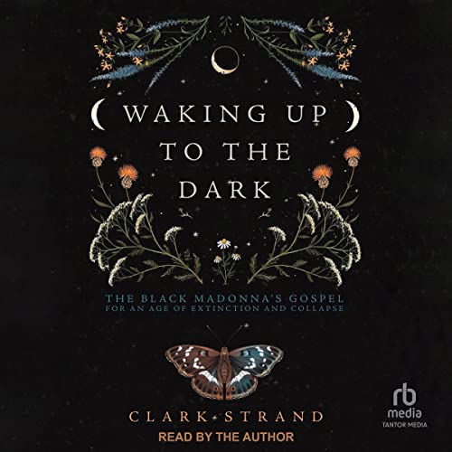 Waking Up to the Dark The Black Madonna's Gospel for An Age of Extinction and Collapse