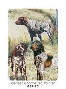 Best Friends Playing Cards, by Ruth Maystead   German Shorthaired Pointer