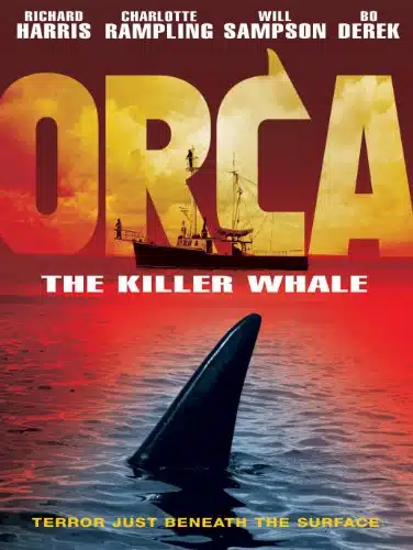 Orca The Killer Whale