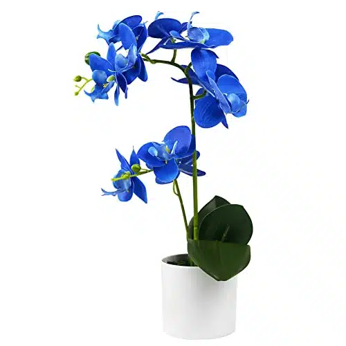 Olrla Blue Orchid Artificial Flowers in White Pot for Kitchen Bathroom Home Office Wedding Decor