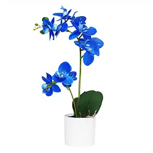 Omygarden Blue Orchid Artificial Flowers in Pot, Fake Potted Orchid Flowers, Decoration for Home Office Wedding