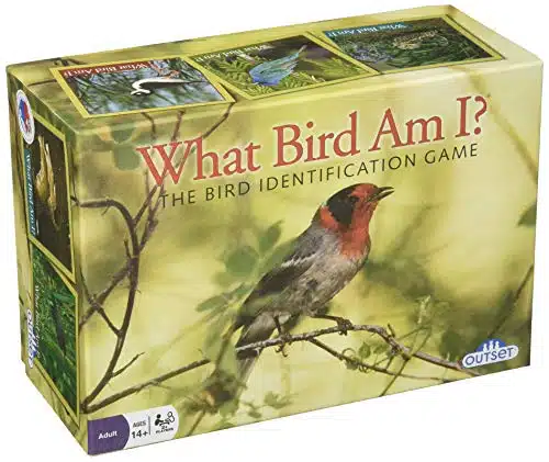 Outset Media What Bird Am I  The Bird Identification Game  Contains Cards for or More Players Ages and up