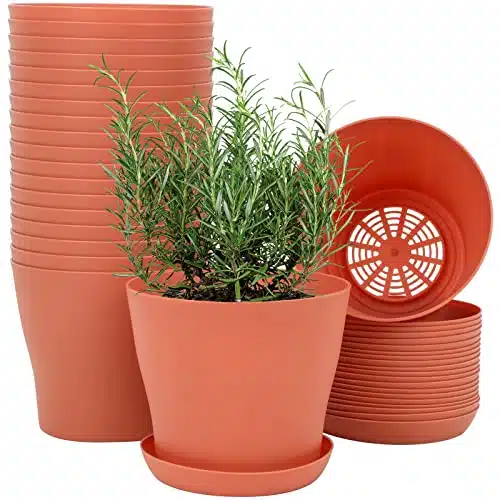 Whonline pcs Inch Plastic Flowers Pots for Plants, Planters with Drainage Holes and Saucers for Indoor Plants, Outdoor Clearance, Seeding Nursery, Succulents, Terra Cotta